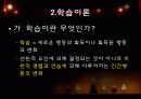 인간발달과 교수학습이론 28페이지