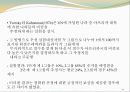 협상자개인의 인지적오류 14페이지