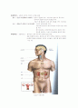 사람의 성호르몬 (A+ 추천레포트) 4페이지