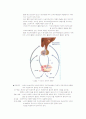 사람의 성호르몬 (A+ 추천레포트) 9페이지