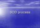 SOD 시스템 (SOD process) 1페이지