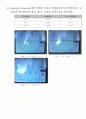 [기계실험]전기실험 - Op-Amp (선형증폭기) 8페이지