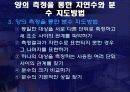 양의 측정을 통한 자연수와 분수지도의 교수학적의의 10페이지
