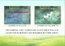 함초(鹹草 : 퉁퉁마디) 17페이지