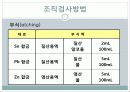 현미경과 금속조직 관찰 28페이지