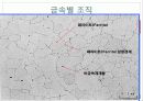 현미경과 금속조직 관찰 31페이지