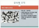 현미경과 금속조직 관찰 38페이지