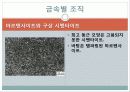 현미경과 금속조직 관찰 39페이지