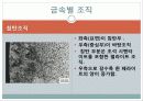현미경과 금속조직 관찰 40페이지