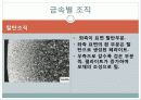 현미경과 금속조직 관찰 41페이지