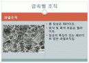 현미경과 금속조직 관찰 42페이지