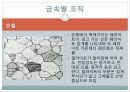 현미경과 금속조직 관찰 43페이지