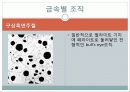 현미경과 금속조직 관찰 44페이지
