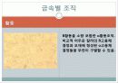 현미경과 금속조직 관찰 46페이지