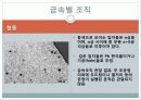 현미경과 금속조직 관찰 47페이지