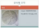 현미경과 금속조직 관찰 51페이지
