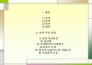 기초노령연금법 2페이지