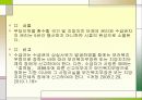 기초노령연금법 14페이지