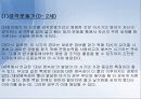 피아제의 인지발달이론 12페이지
