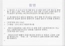사회복지사업법발표 27페이지
