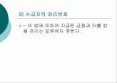 아동복지법 23페이지