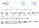 입양촉진 및 절차에 관한 특례법 4페이지