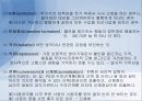 정신분석이론 13페이지
