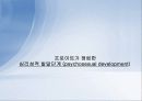 정신분석이론 19페이지