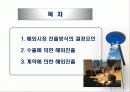 글로벌 기업의 해외시장진출전략 2페이지