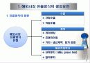 글로벌 기업의 해외시장진출전략 3페이지