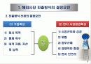 글로벌 기업의 해외시장진출전략 5페이지