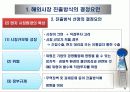 글로벌 기업의 해외시장진출전략 8페이지