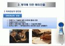 글로벌 기업의 해외시장진출전략 14페이지