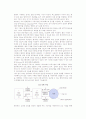 월드와이드웹(WWW)- 웹의 개념 및 구조와 실행 5페이지