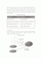 [고객관계관리시스템] 고객관계관리 시스템(e-CRM)의 개념, 활용 동향, 도입 및 관리단계 8페이지
