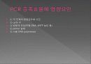 pcr(polymerase chain reaction) 4페이지
