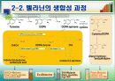 미백화장품 12페이지