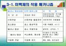 미백화장품 15페이지