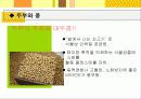 두부 4페이지