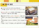 두부 5페이지