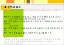 두부 11페이지