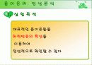 음이온의 정성분석 3페이지