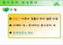 음이온의 정성분석 14페이지
