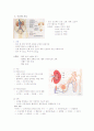 성간 비뇨기계 summary 1페이지