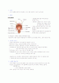 성간 비뇨기계 summary 4페이지