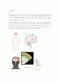 ER case 응급처치, meningitis (뇌수막염) 11페이지