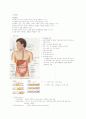 성인간호 소화기계 summary 1페이지