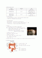 성인간호 소화기계 summary 6페이지