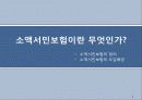 소액서민보험의 문제점 및 해결방안 3페이지