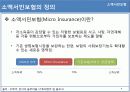 소액서민보험의 문제점 및 해결방안 4페이지